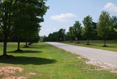 Tree-lined Entrance to John De La Howe School. Click for full size. Tree-lined Entrance to John De La Howe School image. Click for full size.