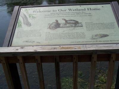 Welcome to Our Wetland Home Marker image. Click for full size.