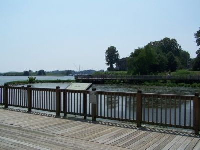 Wetland visible from the boardwalk. image. Click for full size.