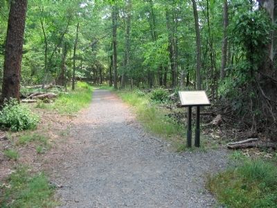 71st New York State Militia Trail Stop image. Click for full size.