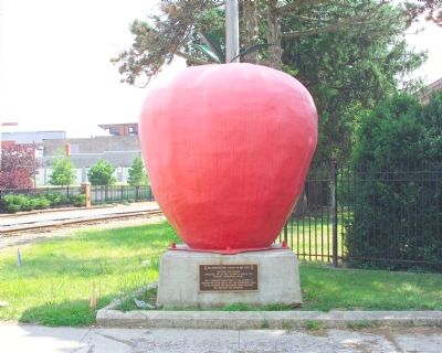 Big Apple Time Capsule. Click for full size. Big Apple Time Capsule image. Click for full size.