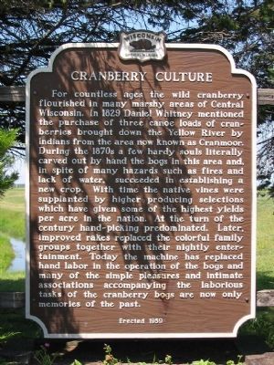 Cranberry Culture Marker image. Click for full size.