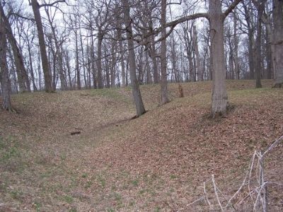 One side of the earthwork mound image. Click for full size.