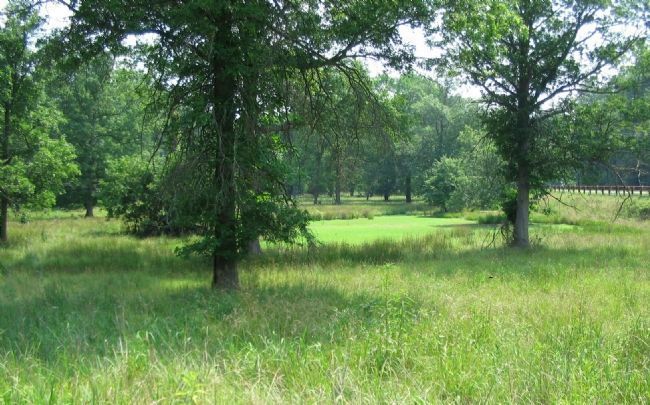 4th South Carolina Skirmishers. Click for full size. 4th South Carolina Skirmishers image. Click for full size.