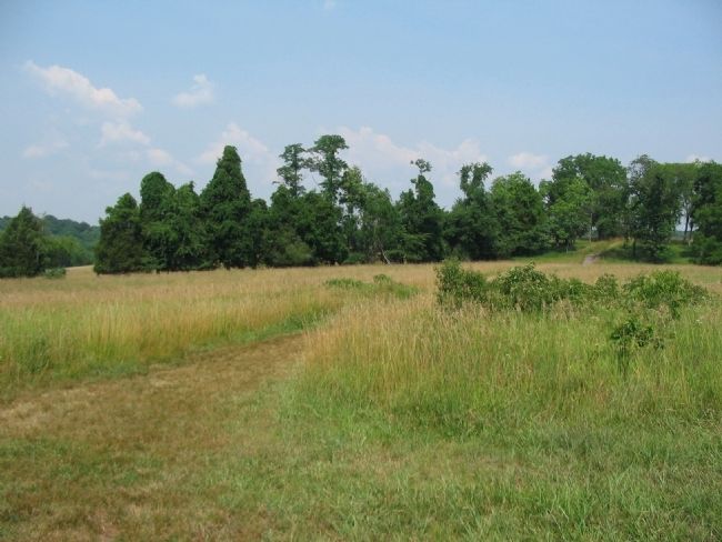 Van Pelt House Site. Click for full size. Van Pelt House Site image. Click for full size.
