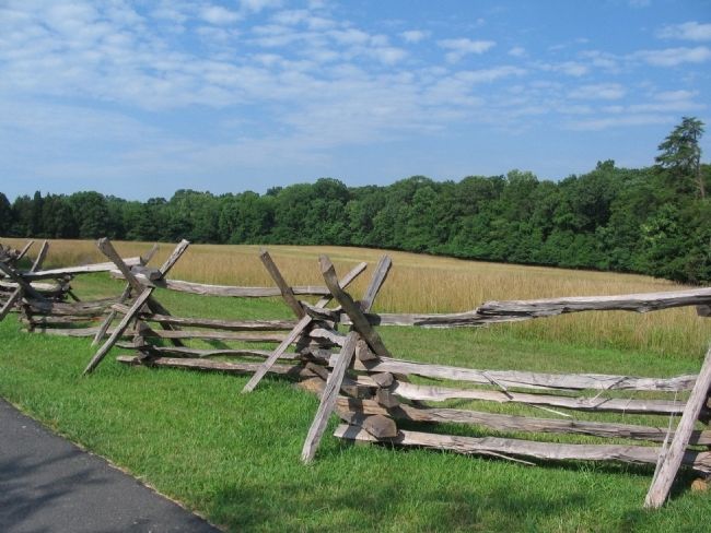 Confederate Advance. Click for full size. Confederate Advance image. Click for full size.