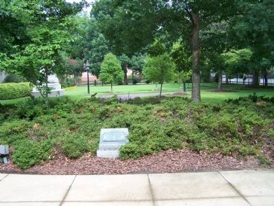 The Flower beds as mentioned image. Click for full size.