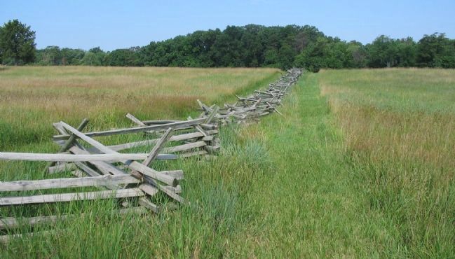 Fence Line Held by the 73rd Ohio image. Click for full size.