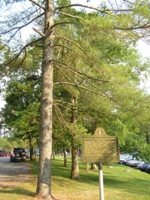 Civilian Cnoservation Corps Marker. Click for full size. Civilian Cnoservation Corps Marker image. Click for full size.