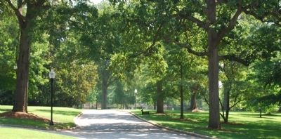Wofford College's Tree-lined Main Entrance image. Click for full size.
