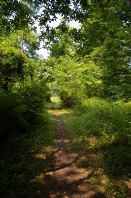 The Old Trolley Line, looking north image. Click for full size.