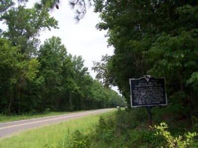 Beech Island Agricultural Club Marker looking west along US 278 image. Click for full size.