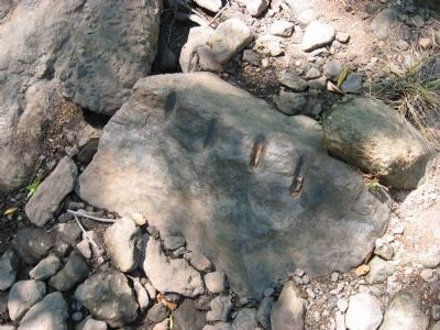 Tool marks on boulder in the riverbed. image. Click for full size.