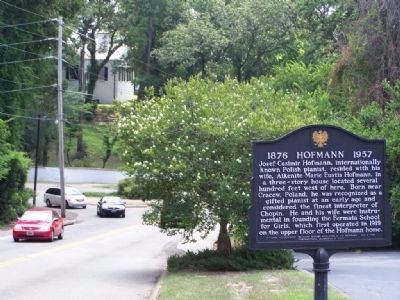 Hofmann Marker, looking south along Laurens Ave. image. Click for full size.