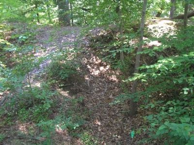 Earthworks at Lee's Mill image. Click for full size.