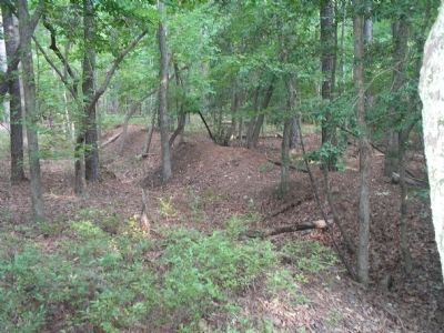 Warwick River Fortifications. Click for full size. Warwick River Fortifications image. Click for full size.