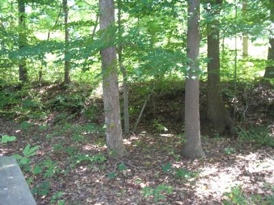 Lees Mill Earthworks image. Click for full size.