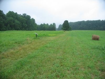 Laurel Hill Trail. Click for full size. Laurel Hill Trail image. Click for full size.