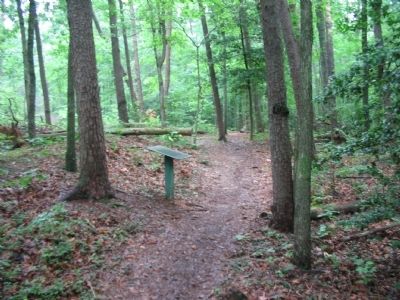Marker beside the Trail along Lee's Last Line Earthworks. Click for full size. Marker beside the Trail along Lee's Last Line Earthworks image. Click for full size.