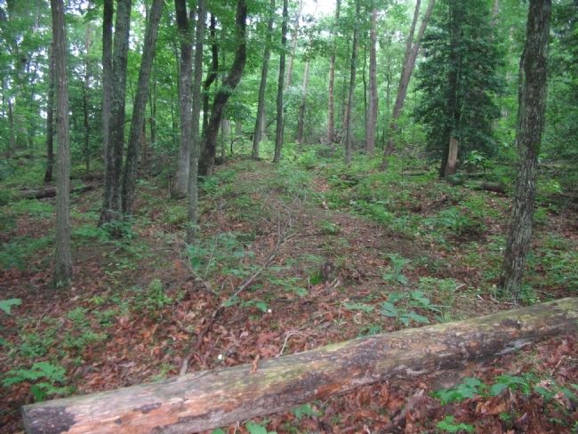 Confederate Earthworks. Click for full size. Confederate Earthworks image. Click for full size.