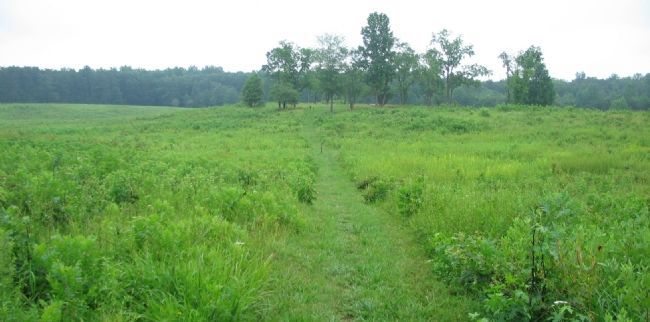 Harrison House Site. Click for full size. Harrison House Site image. Click for full size.