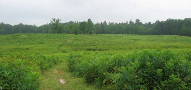 View from the Road. Click for full size. View from the Road image. Click for full size.