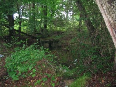 McCoull Spring. Click for full size. McCoull Spring image. Click for full size.