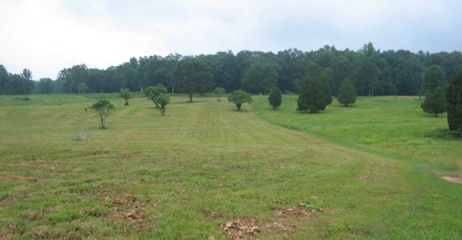 Restored Tree Line and Fields. Click for full size. Restored Tree Line and Fields image. Click for full size.