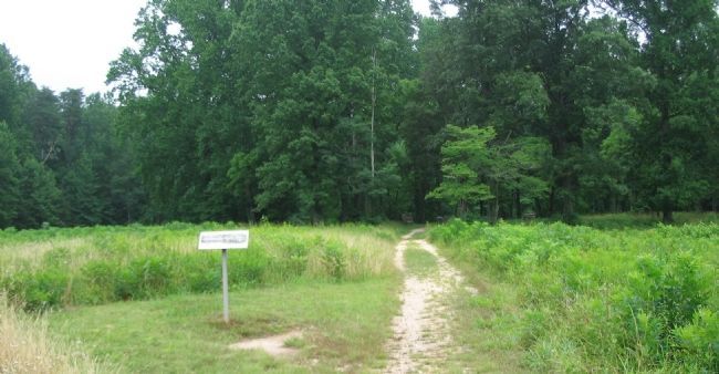 The Landram House Ruins. Click for full size. The Landram House Ruins image. Click for full size.