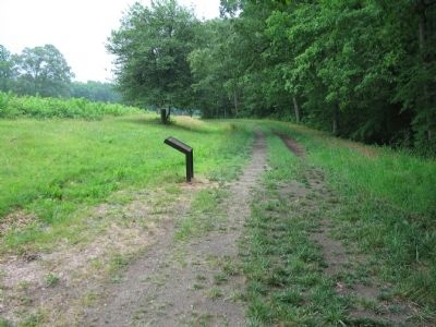 East Face of Salient Trail image. Click for full size.
