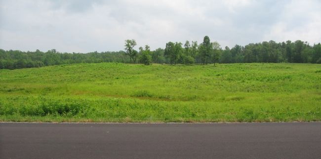 The Harrison House Site. Click for full size. The Harrison House Site image. Click for full size.