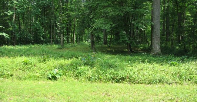 Section of the Confederate Earthworks. Click for full size. Section of the Confederate Earthworks image. Click for full size.