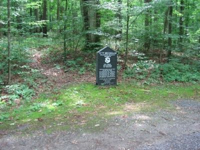 17th Michigan Volunteer Infantry Regiment Monument. Click for full size. 17th Michigan Volunteer Infantry Regiment Monument image. Click for full size.