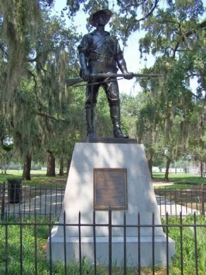 The Georgia Volunteer image. Click for full size.