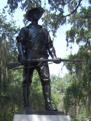 The Georgia Volunteer image. Click for full size.