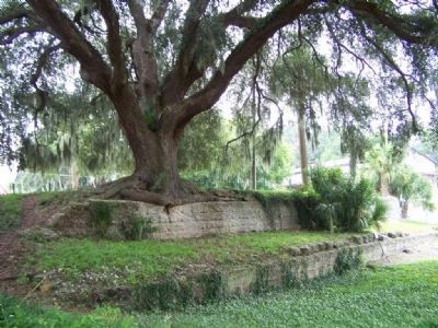 More Fort Darien ruins. Click for full size. More Fort Darien ruins image. Click for full size.