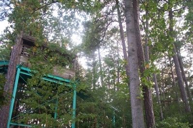 View from the ride of the top of the second hill. Click for full size. View from the ride of the top of the second hill image. Click for full size.