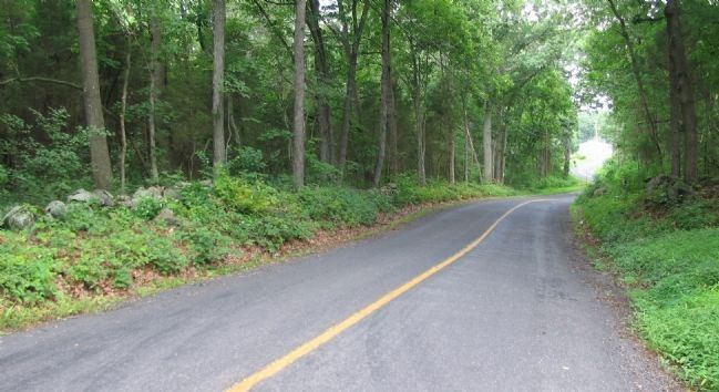 Stonewalls along Hoffman Road image. Click for full size.