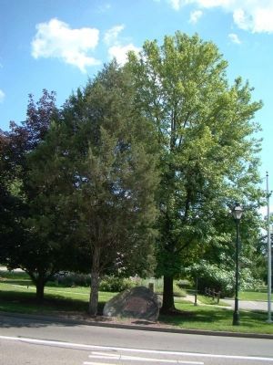 Marker and the <i>Franklinia Alatamaha</i> (Ben Franklin Tree) on the Left. Click for full size. Marker and the <i>Franklinia Alatamaha</i> (Ben Franklin Tree) on the Left image. Click for full size.