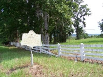 Old Court House At Sapelo Bridge Marker , looking east image. Click for full size.