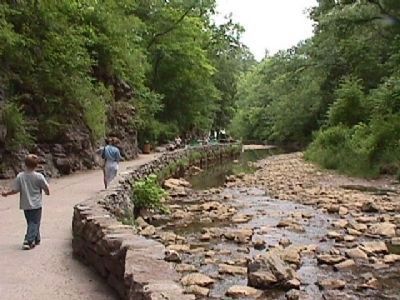 Nature trail beside Cedar Creek. Click for full size. Nature trail beside Cedar Creek image. Click for full size.