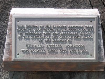 Charles Russell Johnson Marker. Click for full size. Charles Russell Johnson Marker image. Click for full size.