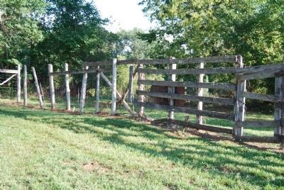 Livestock Corral Walls - over six feet high image. Click for full size.