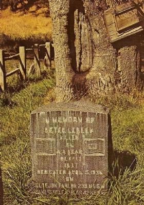 Vintage Postcard of the Peter Lebeck Headstone and The Lebeck Oak Tree image. Click for full size.
