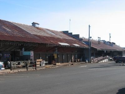 Newcastle Freight Depot - Looking South. Click for full size. Newcastle Freight Depot - Looking South image. Click for full size.
