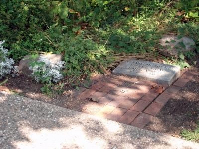 Interesting Item at Front Sidewalk - Leading to Front Door. Click for full size. Interesting Item at Front Sidewalk - Leading to Front Door image. Click for full size.