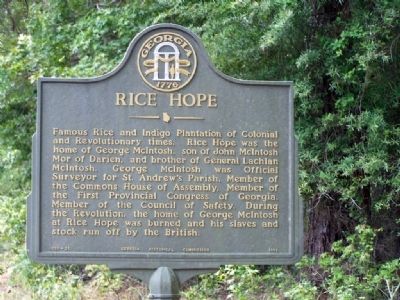 Rice Hope Marker image. Click for full size.