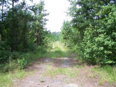 A look down the wagonway at the Marker image. Click for full size.
