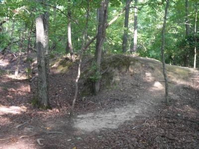 Confederate Earthworks image. Click for full size.