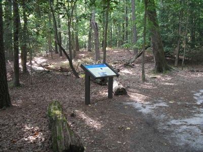 Marker in Newport News Park. Click for full size. Marker in Newport News Park image. Click for full size.